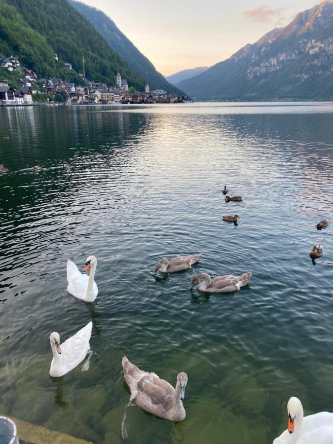 Hallstatt Lakeside Top 4 - Zimmer Mit Balkon Екстериор снимка